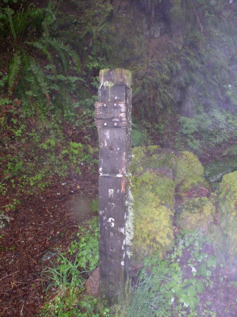 5.7.06 Wauna Point 003 